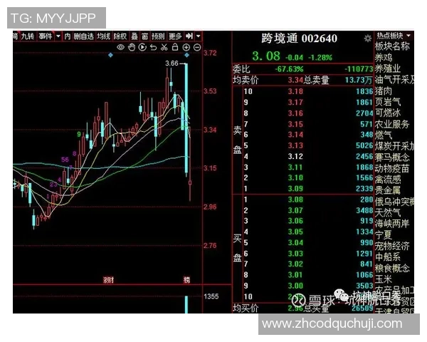 杭州排球队与北京排球队赛后复盘分析比赛节奏与战术对比